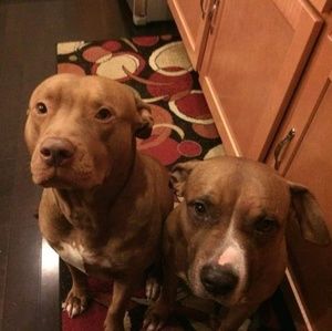 Meet your Posher, Toni